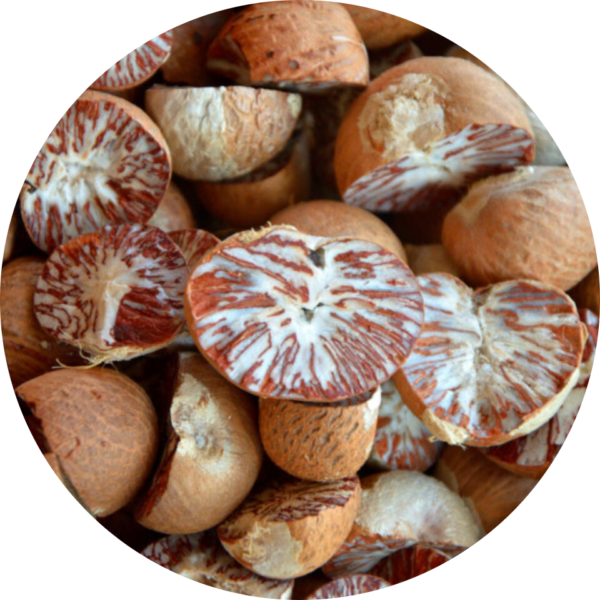 betel nut